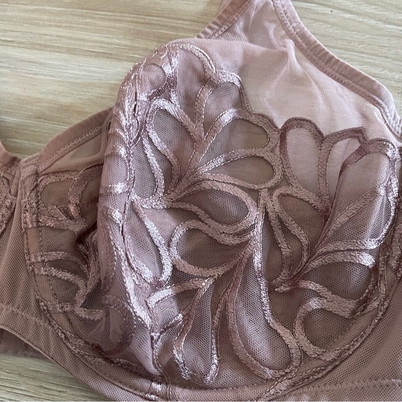 Elegant Lace Embroidered Bra - Tan - Picture 3 of 8